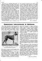 giornale/LO10010767/1933/V.1/00000655