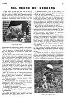 giornale/LO10010767/1933/V.1/00000725