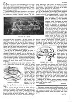 giornale/LO10010767/1933/V.2/00000022