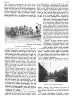 giornale/LO10010767/1933/V.2/00000141