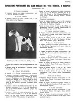 giornale/LO10010767/1933/V.2/00000156
