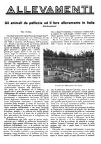 giornale/LO10010767/1933/V.2/00000237