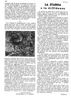 giornale/LO10010767/1933/V.2/00000272