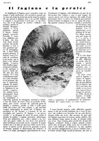 giornale/LO10010767/1933/V.2/00000273