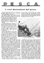 giornale/LO10010767/1933/V.2/00000283