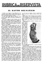 giornale/LO10010767/1933/V.2/00000287