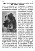 giornale/LO10010767/1933/V.2/00000291