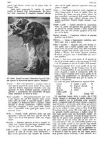 giornale/LO10010767/1933/V.2/00000292