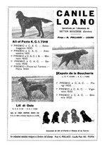 giornale/LO10010767/1933/V.2/00000296