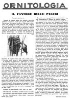 giornale/LO10010767/1933/V.2/00000303