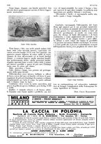 giornale/LO10010767/1933/V.2/00000308