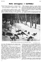 giornale/LO10010767/1933/V.2/00000347