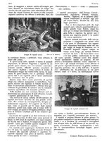 giornale/LO10010767/1933/V.2/00000348