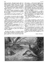 giornale/LO10010767/1933/V.2/00000350
