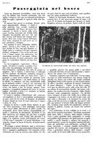 giornale/LO10010767/1933/V.2/00000351