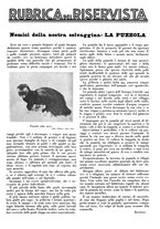 giornale/LO10010767/1933/V.2/00000355