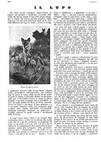 giornale/LO10010767/1933/V.2/00000356
