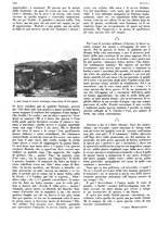 giornale/LO10010767/1933/V.2/00000368