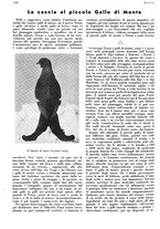 giornale/LO10010767/1933/V.2/00000374