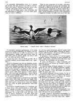 giornale/LO10010767/1933/V.2/00000382