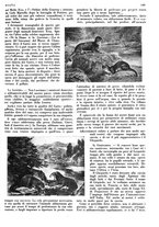 giornale/LO10010767/1933/V.2/00000387