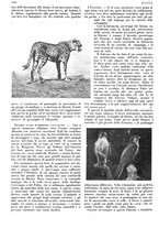 giornale/LO10010767/1933/V.2/00000388