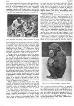giornale/LO10010767/1933/V.2/00000392
