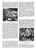 giornale/LO10010767/1933/V.2/00000396