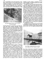 giornale/LO10010767/1933/V.2/00000400