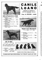 giornale/LO10010767/1933/V.2/00000424