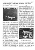 giornale/LO10010767/1933/V.2/00000432