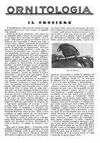 giornale/LO10010767/1933/V.2/00000447