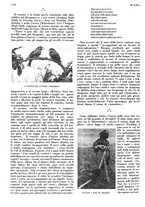 giornale/LO10010767/1933/V.2/00000448