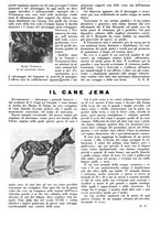 giornale/LO10010767/1933/V.2/00000502