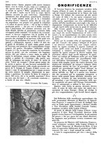 giornale/LO10010767/1933/V.2/00000552