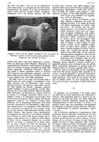 giornale/LO10010767/1933/V.2/00000564