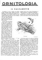 giornale/LO10010767/1933/V.2/00000583