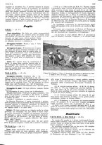 giornale/LO10010767/1933/V.2/00000589