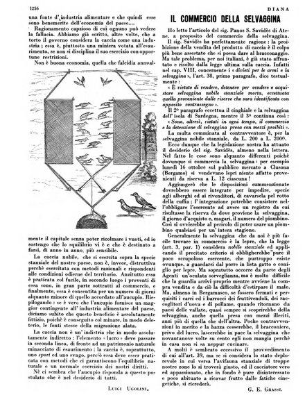 Diana rivista venatoria quindicinale