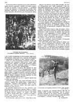 giornale/LO10010767/1933/V.2/00000620