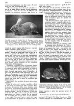 giornale/LO10010767/1933/V.2/00000648