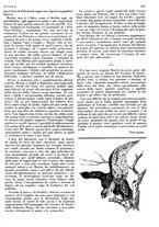 giornale/LO10010767/1933/V.2/00000689