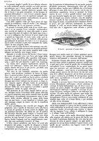 giornale/LO10010767/1933/V.2/00000697