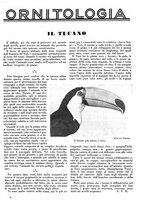 giornale/LO10010767/1933/V.2/00000715