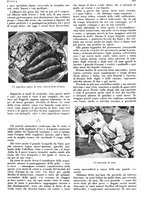 giornale/LO10010767/1933/V.2/00000759