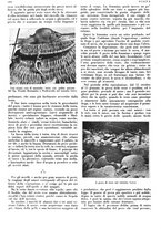 giornale/LO10010767/1933/V.2/00000760
