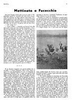 giornale/LO10010767/1934/V.1/00000021