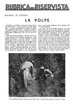 giornale/LO10010767/1934/V.1/00000025