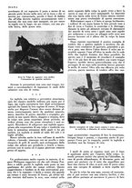 giornale/LO10010767/1934/V.1/00000027