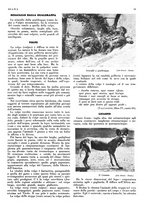 giornale/LO10010767/1934/V.1/00000039